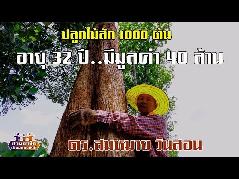 คลิกเพื่อดูคลิปวิดีโอ