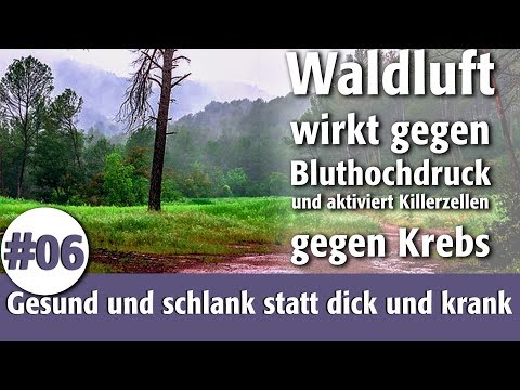 Blutdruck bei Hypertonie Wie das Medikament diroton nehmen