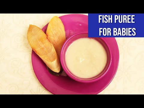 download lagu mp3 mp4 Baby Fish Puree Recipe, download lagu Baby Fish Puree Recipe gratis, unduh video klip Baby Fish Puree Recipe