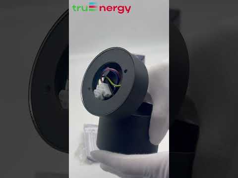 Миниатюра изображения товара Спот Truenergy 21006