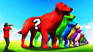 Opening LUCKY CLIFFORD In GTA 5 (Big Red Dog)