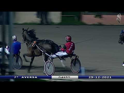 Aversa trotto 29 Dicembre 2021 - 7° Corsa