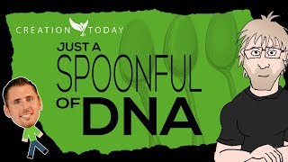 Just a Spoonful of DNA Helps Creationism Go Down - Creation Today Claims
