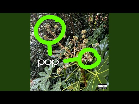 pop