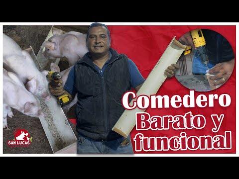 , title : 'Comedero de PVC para cerdos y lechones l Granja San Lucas'