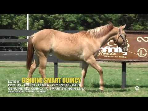 Lote 1- Genuine Smart Quincy- 1º Leilão Meg Quarter Horse