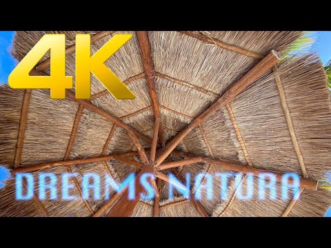 Videos del Dreams Natura Resort  Spa 5★ en Puerto Morelos, MéxicoVerPrecios19CerrarConsulta por Whatsapp 🇦🇷BookingTripadvisorExpediaAgodaTravelocityOrbitzPricelineTripSkyscannerDespegarKayakHotelesBestdayDestiniaTrivagoLastminuteHotwireTuiWotif