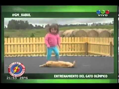 Peligro Sin Codificar - Good Morning Kabul 14/11/2013