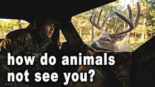 Game-Changing Hunting Blind Window Technology