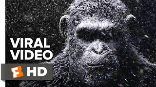 War for the Planet of the Apes (2017) Video