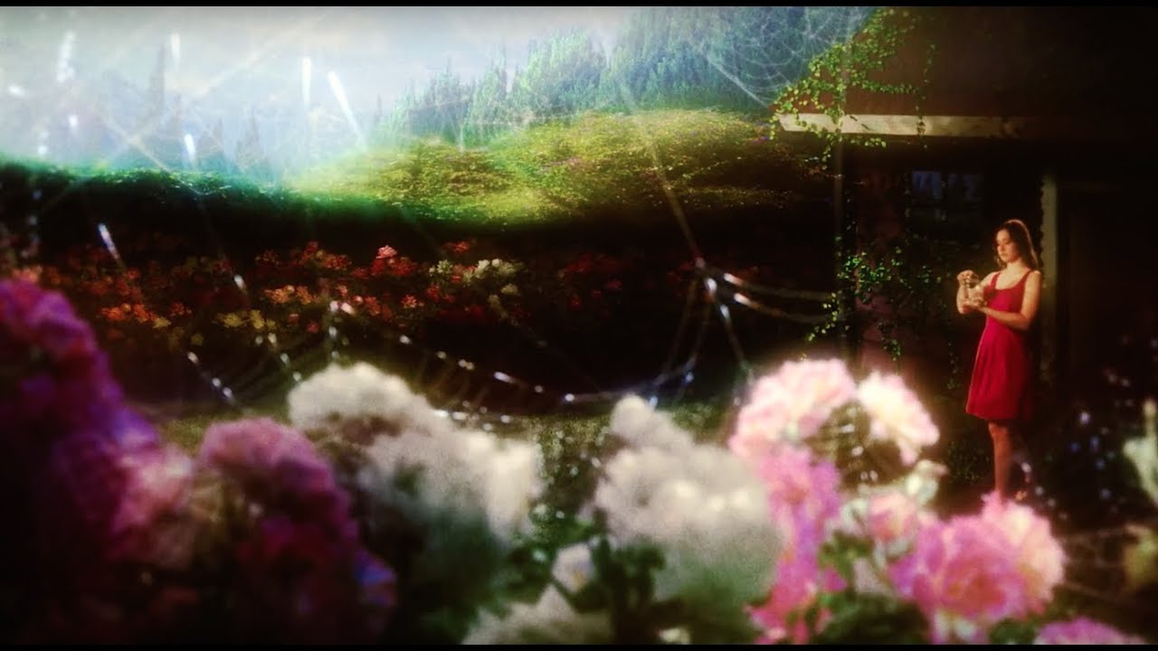 Dissection of a Rose - Teaser Trailer