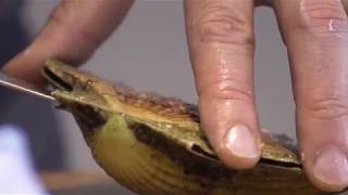The Woodspeen - Cooking School video