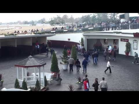 A Trip to the Paddock - Hello Race Fans