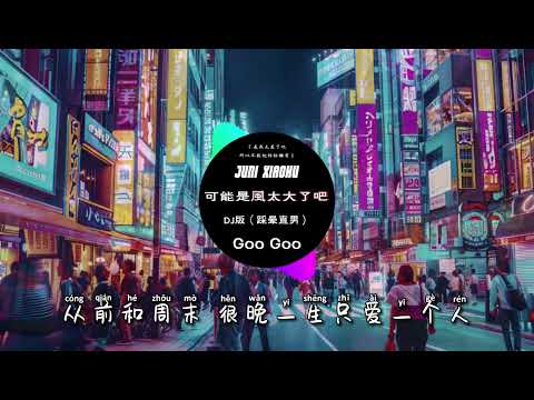 Goo Goo I 可能是風太大了吧 DJ XIAOHU『是我太差了吧 所以不能把你給擁有』Official Lyrics Video【高音質 動態歌詞/PinyinLyrics】