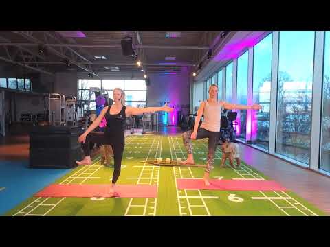 PILATES mit Johanna & Heike - ONLINE FITNESS - ONLINE KURSE