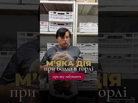 ОлиЛор