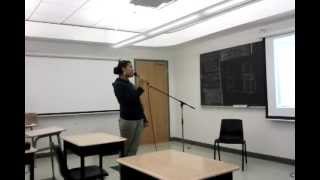 Lady Pilot-Neko Case cover by Sophie Carteri