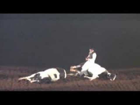 Tommie Turvey "Amazing Horses" Horse Show preview