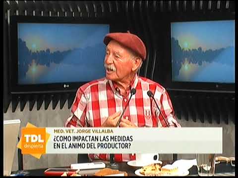 Jorge Villalba en el desayuno de Tandil Despierta | Tandil Despierta