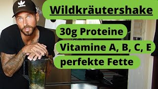 Wildkräutershake- Proteine, Vitamine, Mikronährstoffe, sekundäre Pflanzenstoffe