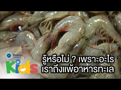 โรคสะเก็ดเงินน้ำมันไข่ ธรรมชาติบำบัดภูมิแพ้ผิวหนังอักเสบกำเริบ