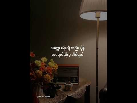 ခွန်အားမျှပါ - စိုးလွင်လွင် lyric video (Khun Arr Mhya Prr- Soe Lwin Lwin)