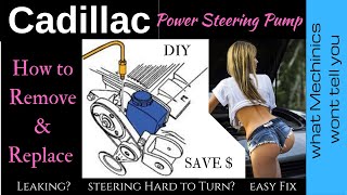 Cadillac - Remove  and Replace Power Steering Pump | DIY | Northstar | Mechanics won't tell you