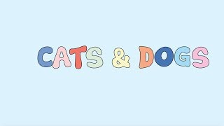 Best Coast - “Cats &amp; Dogs” (Lyric Video)