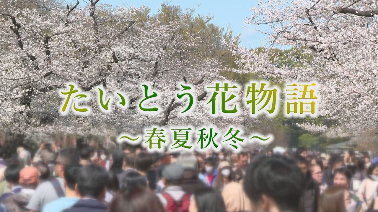 【台東区】たいとう花物語〜春夏秋冬〜