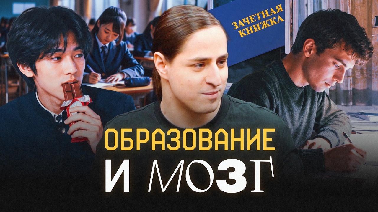 Как сдавать экзамены без стресса? Советы нейробиолога Владимира Алипова