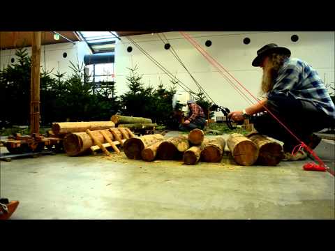 Die Bear Creek Lumber & Railroad beim EDHT 2015 in Karlsruhe