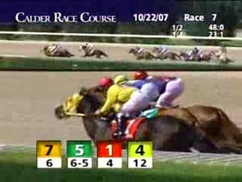 CALDER RACE COURSE, 2007-10-22, Race 7