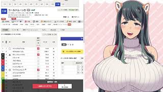 【朝日杯FS】犬耳おばさんの日曜競馬予想配信【ディセンバーステークス・コールドムーンステークス】