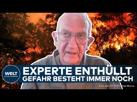 WALDBRAND ATHEN: Experte warnt! Prävention statt Evakuierung – Griechenland muss dringend handeln!