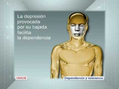 Todo sobre drogas: Crack III.wmv