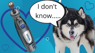 Teach Your Dog to Love Nail Trims