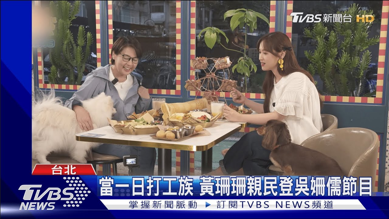 黃珊珊作客《萌寵明星粗乃玩》　當寵物保母笑喊：比跑行程累