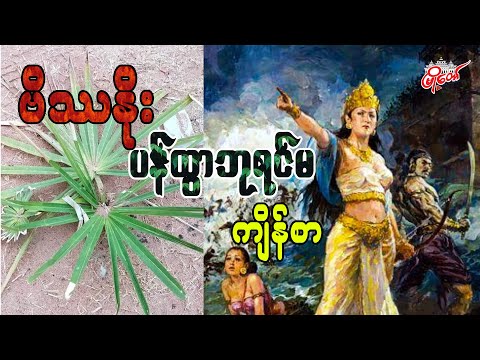 ဗိဿနိုး ပန်ထွာဘုရင်မ ကျိန်စာ (အပိုင်း - ၂ )