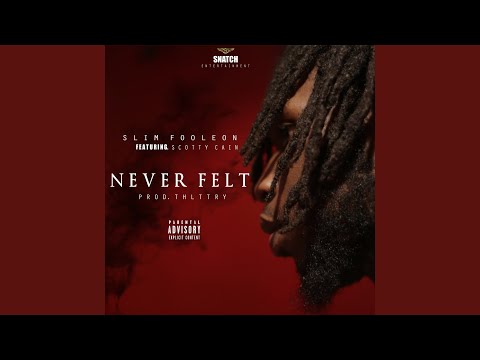 Never Felt (feat. Scotty Cain)