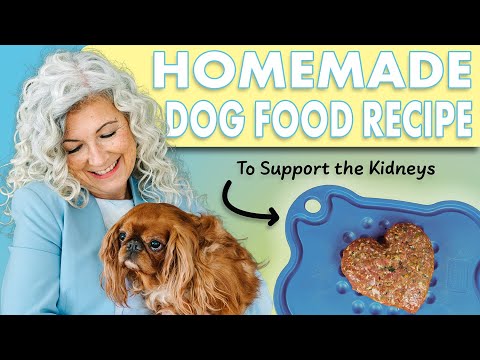 Dr. Judy's Kidney Support Recipe for Dogs