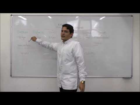 Reflejo de vómito en monogástricos.