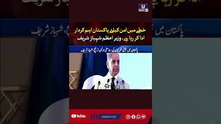 "Pakistan is playing an important role for peace in the region," Prime Minister Shahbaz Sharif