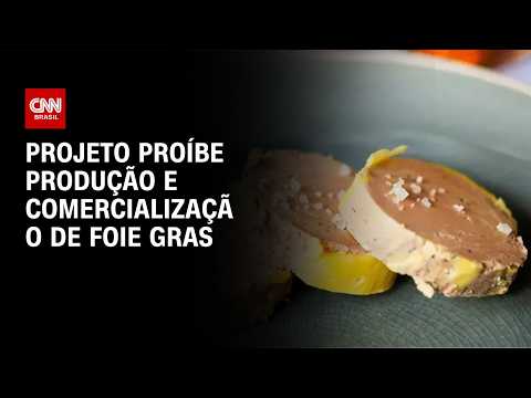 Entenda projeto que proíbe produção e comercialização de foie gras| CNN AGRO NEWS