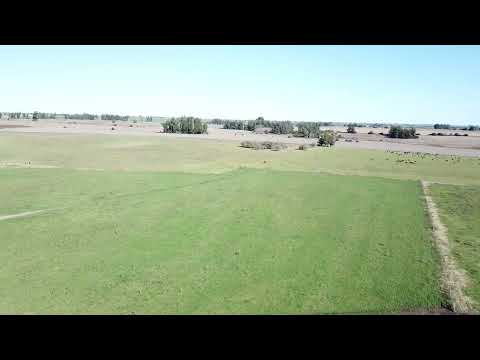 Campo agrícola en Canelones Uruguay 184 has costa al Rio Santa Lucía