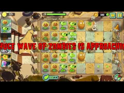 PcZ2: New plants are finally coming!