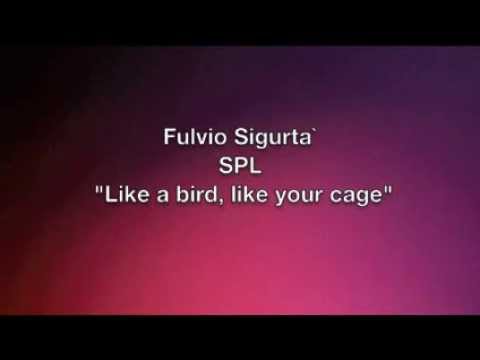 Like A Bird, Like Your Cage - Fulvio Sigurta'