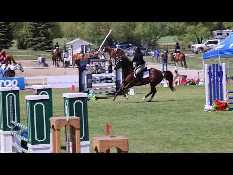 Nellybelle Edmonton Classic