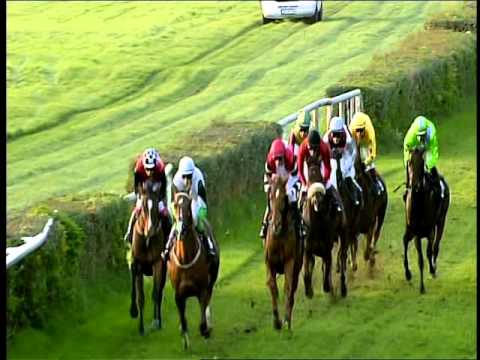 Galopprennbahn Dresden - 24.10.2015 - 8.Rennen