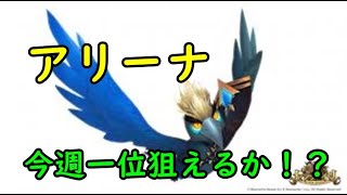 【セブンナイツ】日曜のアリーナ！今週一位狙えるか！？