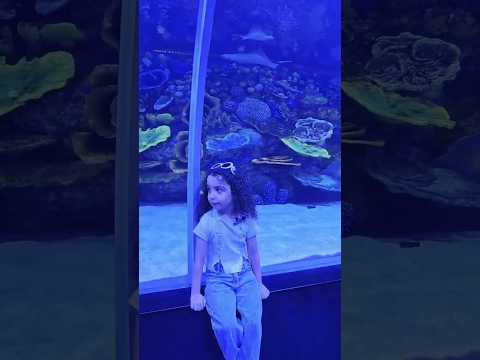 حاولو ياخدو الكنز #لايك #اكسبلور #funny #comedy #cutebaby #babygirl #بيبي #اطفال #viralshorts #baby